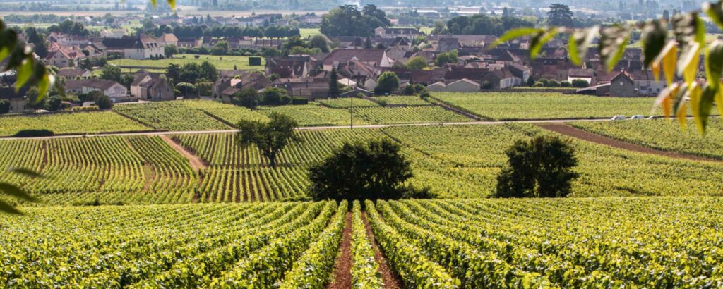 Château de Meursault