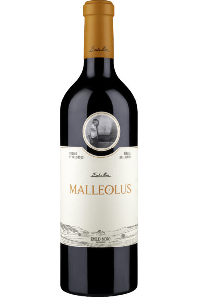 Malleolus 2023